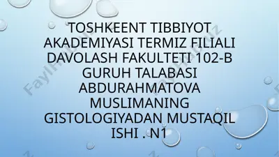 abdurahmatova muslimaning gistologiyadan mustaqil ishi — PPTX