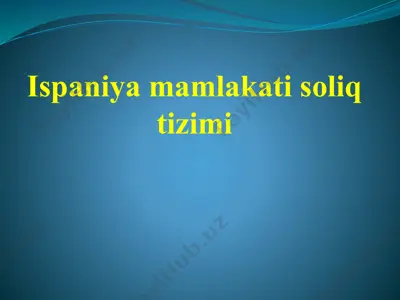 ispaniya mamlakati soliq tizimi — PPTX