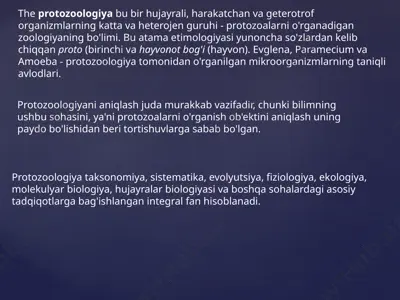 protozoologiya — PPTX