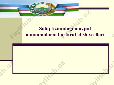soliq tizimidagi muammolarni bartaraf etish yo'llari — PPTX