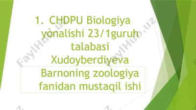 chumolilar haqida malumot — PPTX