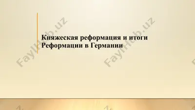 княжеская реформация и итоги реформации в германии — PPTX