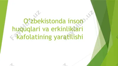 o’zbekistonda inson huquqlari va erkinliklari kafolatining yaratilishi — PPTX