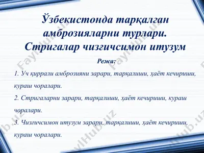 uzbekistonda tarqalgan ambruziyalar — PPTX