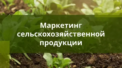маркетинг сельскохозяйственной продукции — PPTX