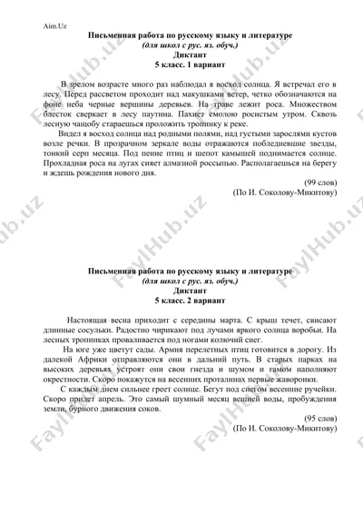 письменная работа по русскому языку и литературе — DOCX