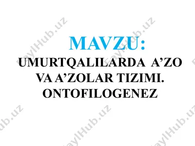 umurtqalilar — PPTX