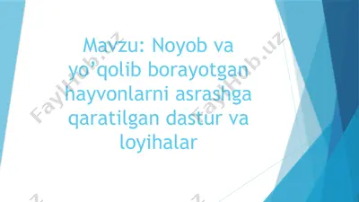 noyob va yo’qolib borayotgan hayvonlarni asrashga qaratilgan dastur va loyihalar — PPTX