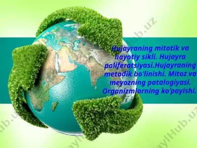 hujayraning mitotik va hayotiy sikli — PPTX