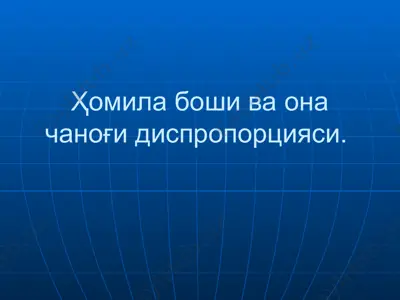 чанок бозори ва унинг диспропорцияси — PPT