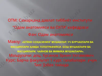 bўyin sohasining mushaklari, uch burcaklari va fasciyalari hamda topografiyasi — PPTX