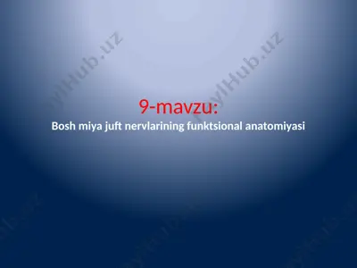bosh miya juft nervlarining funktsional anatomiyasi — PPTX