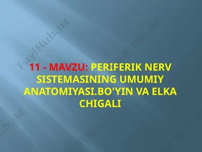 periferik nerv sistemasining umumiy anatomiyasi — PPTX