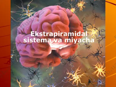 ekstrapiramidal sistema va miyacha — PPTX