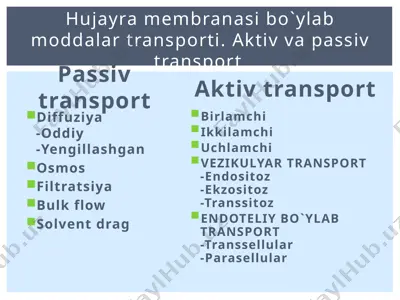 transport turlari — PPTX