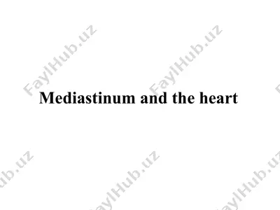 mediastinum and the heart — PPTX