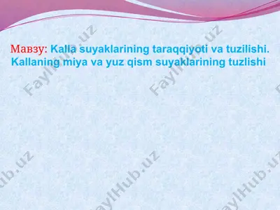 kalla suyaklarining taraqqiyoti va tuzilishi — PPTX