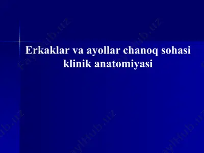 erkaklar va ayollar chanoq sohasi klinik anatomiyasi — PPTX