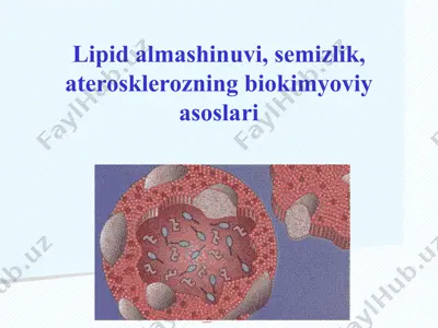 lipid almashinuvi, semizlik, aterosklerozning biokimyoviy asoslari — PPTX
