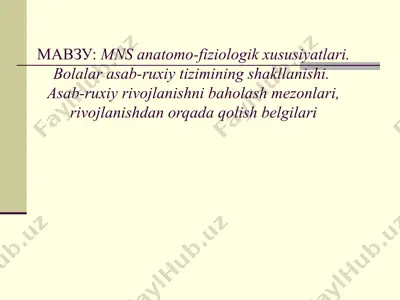 mns anatomo-fiziologik xususiyatlari — PPTX