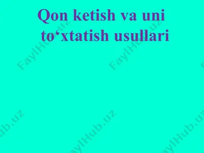 qon ketish va uni to‘xtatish usullari — PPTX