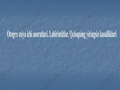 labirintitlar quloqning yiringsiz kasalliklari — PPTX