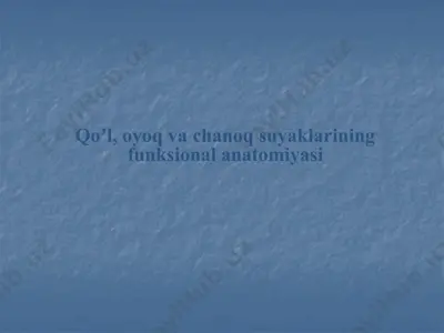 qoʼl, oyoq va chanoq suyaklarining funksional anatomiyasi — PPTX