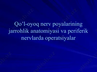 qoʼl-oyoq nerv poyalarining jarrohlik anatomiyasi va periferik nervlarda operatsiyalar — PPTX