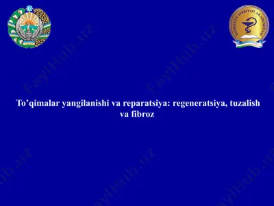 to'qimalar yangilanishi va reparatsiya: regeneratsiya, tuzalish va fibroz — PPTX