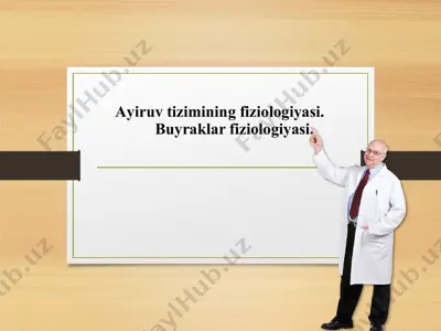 ayiruv tizimining fiziologiyasi — PPTX