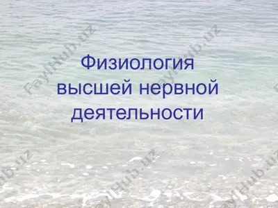физиология высшей нервной деятельности — PPTX