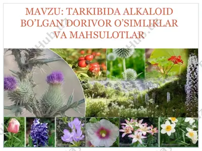 alkaloidlarga umumiy xarakteristika va foydalanish — PPTX