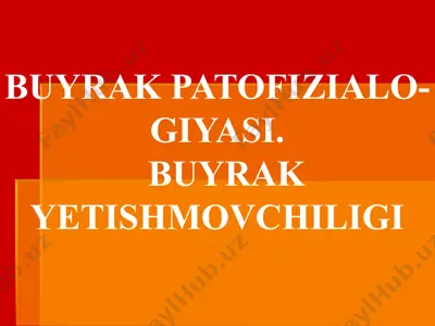 buyrak patofiziologiyasi - buyrak yetishmovchiligi — PPTX