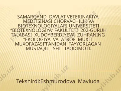 tabiatdan oqilona foydalanishni istiqbollari va iqtisodiy asoslari — PPTX