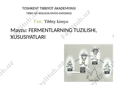 fermentlarning tuzilishi, xususiyatlari — PPTX