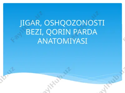 jigar, oshqozonosti bezi, qorin parda anatomiyasi — PPTX