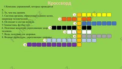 jismoniy tarbiya krossvordi — PPTX