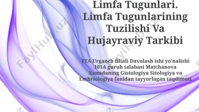 limfa tugunlari. limfa tugunlarining tuzilishi va hujayraviy tarkibi — PPTX