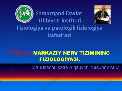 markaziy nerv tizimining fiziologiyasi — PPTX