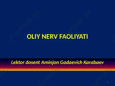 oliy nerv faoliyati — PPTX