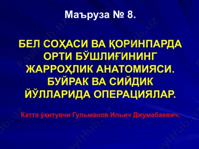 бел соҳаси ва қоринпарда орти бўшлиғининг жарроҳлик анатомияси. буйрак ва сийдик йўлларида операциялар — PPTX