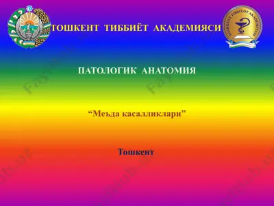 “меъда касалликлари” — PPTX