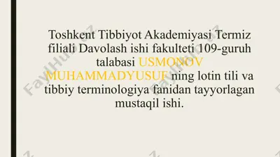 talabalar leksikasi — PPTX