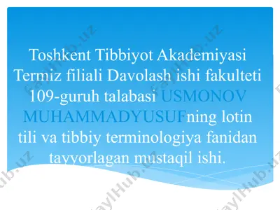 anatomik ibora tarjimasi — PPTX