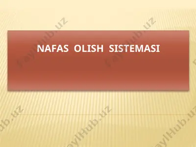 nafas olish sistemasi — PPTX
