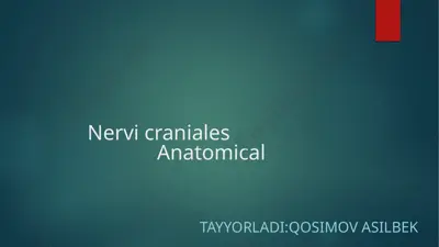 nervi craniales — PPTX