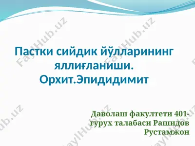 орхит.эпидидимит — PPTX