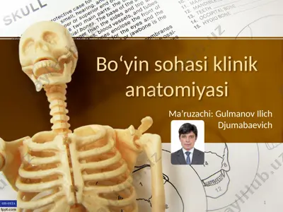 bo‘yin sohasi klinik anatomiyasi — PPTX