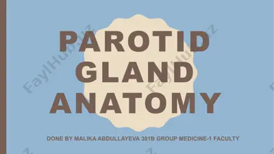 parotid gland anatomy — PPTX