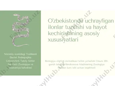 - teglar (vergul bilan): — PPTX